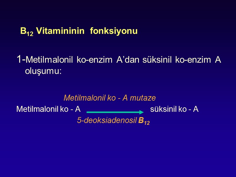 B12 Vitamininin  fonksiyonu 1-Metilmalonil ko-enzim A’dan süksinil ko-enzim A oluşumu:   